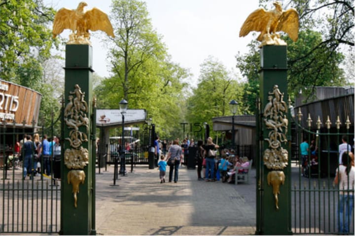 Foto 29 van Pieter Vlamingstraat 16-3