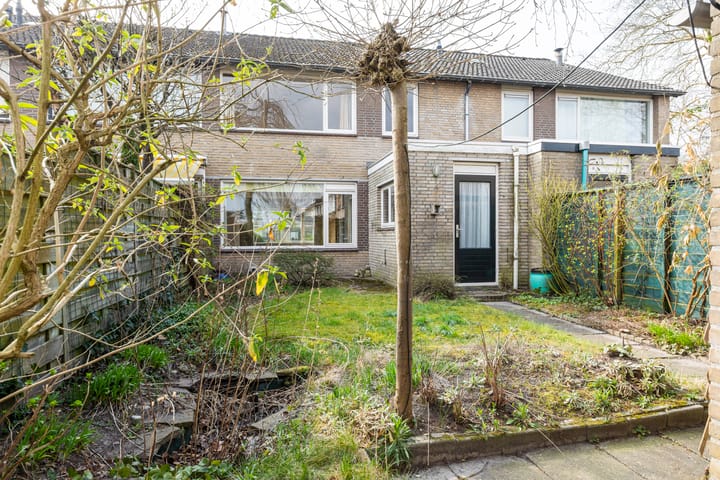 Foto 23 van Burgemeester Mollaan 3