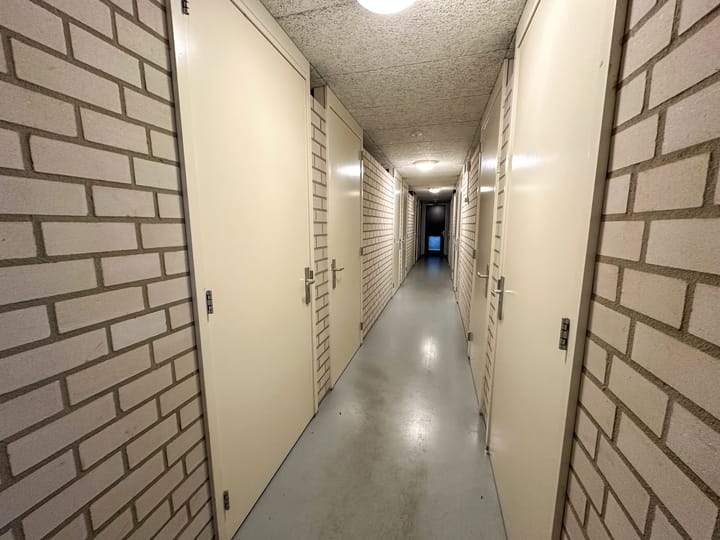 Foto 29 van Buitentuin 5