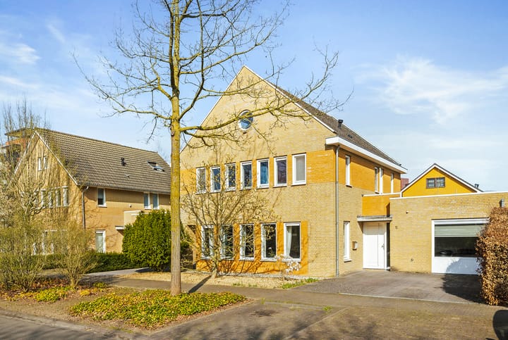 Foto 5 van Grasleeuwerik 5