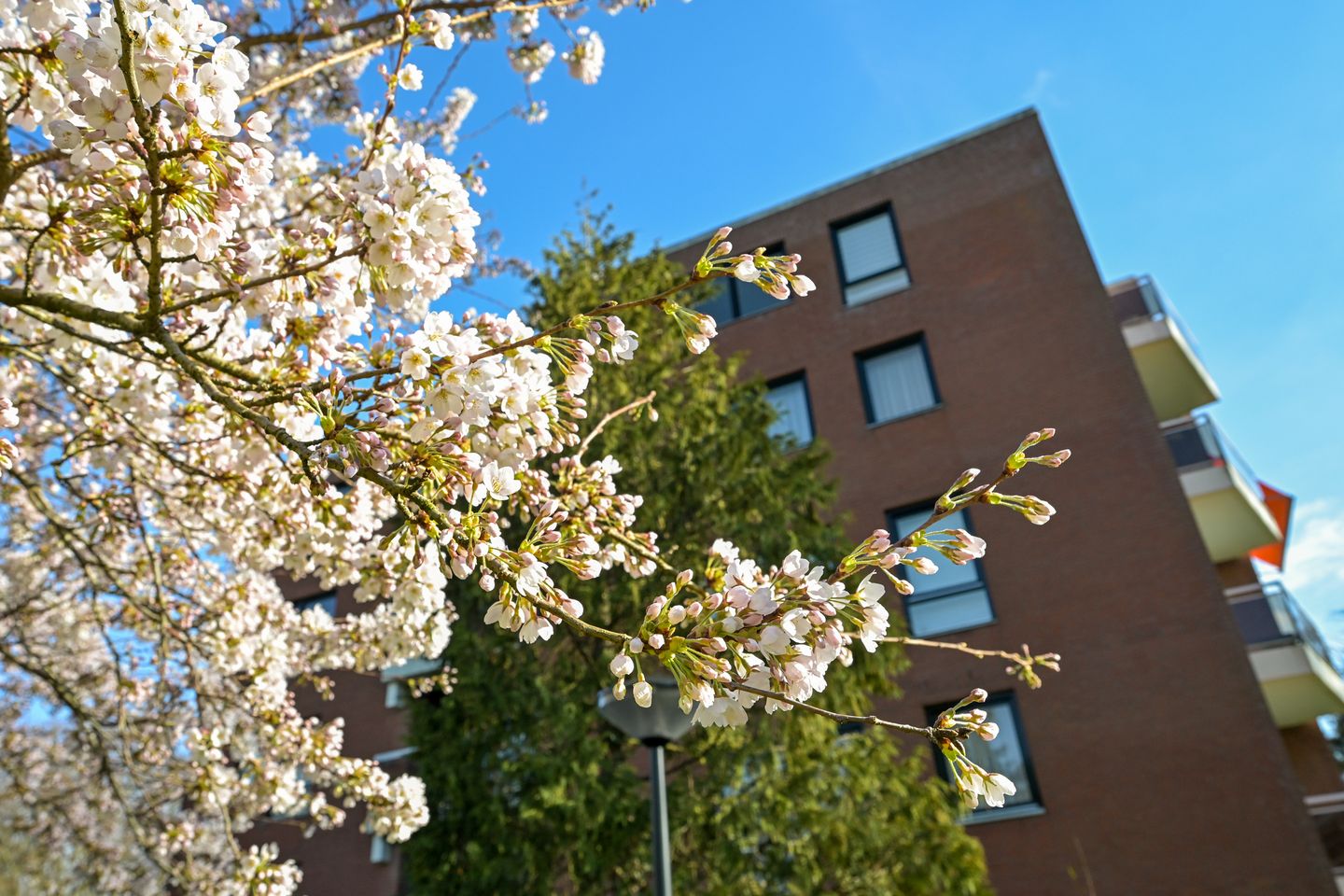 Foto 4 van Park Oud Wassenaar 14