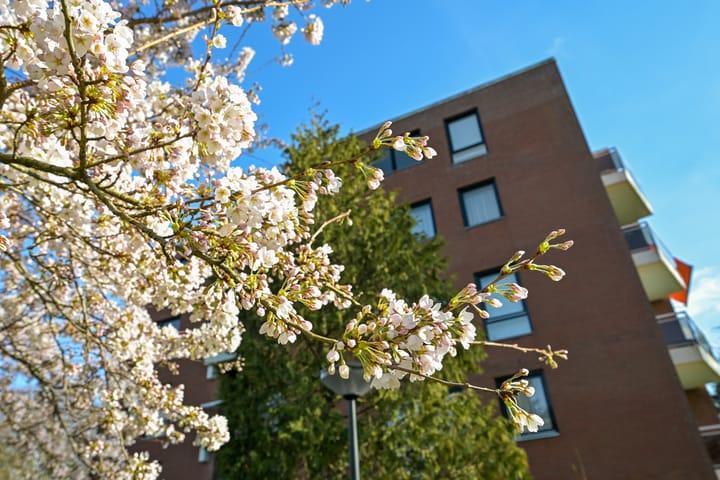 Foto 4 van Park Oud Wassenaar 14