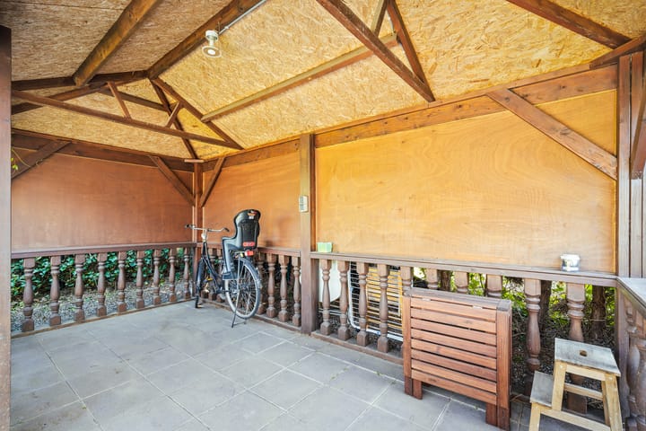 Foto 33 van Grasleeuwerik 5