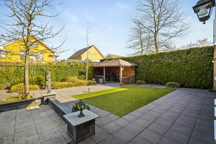 Foto 35 van Grasleeuwerik 5