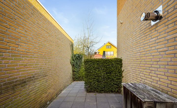 Foto 37 van Grasleeuwerik 5