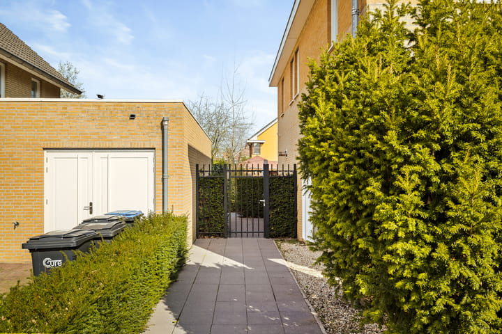 Foto 39 van Grasleeuwerik 5