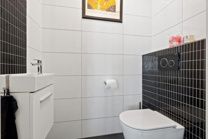 Foto 42 van Grasleeuwerik 5