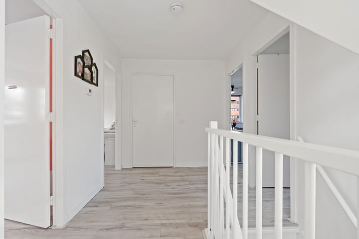 Foto 45 van Grasleeuwerik 5