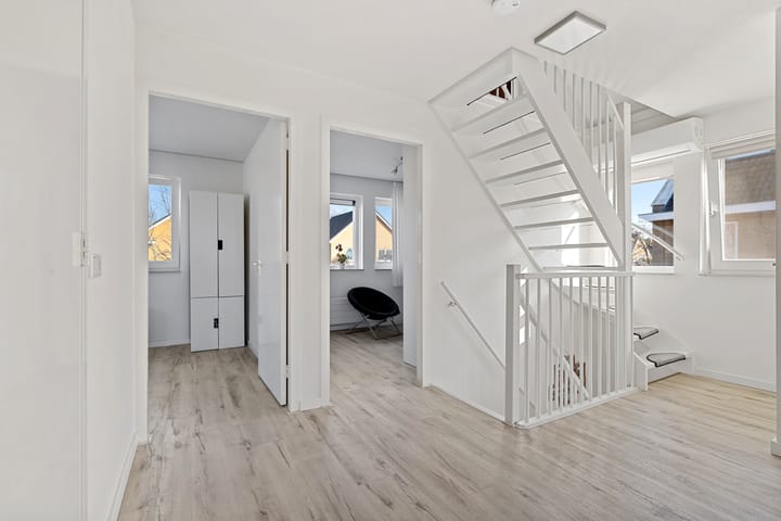 Foto 61 van Grasleeuwerik 5