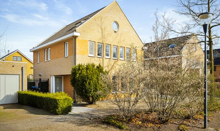 Foto 67 van Grasleeuwerik 5