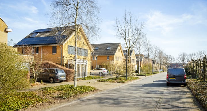 Foto 68 van Grasleeuwerik 5