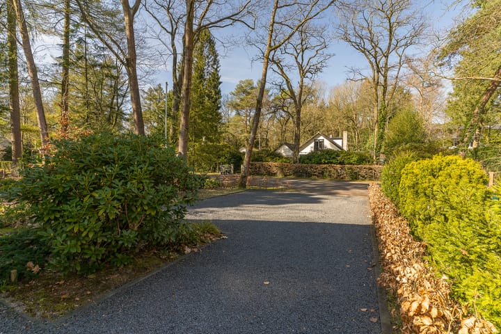 Foto 9 van Belvédèrelaan 10