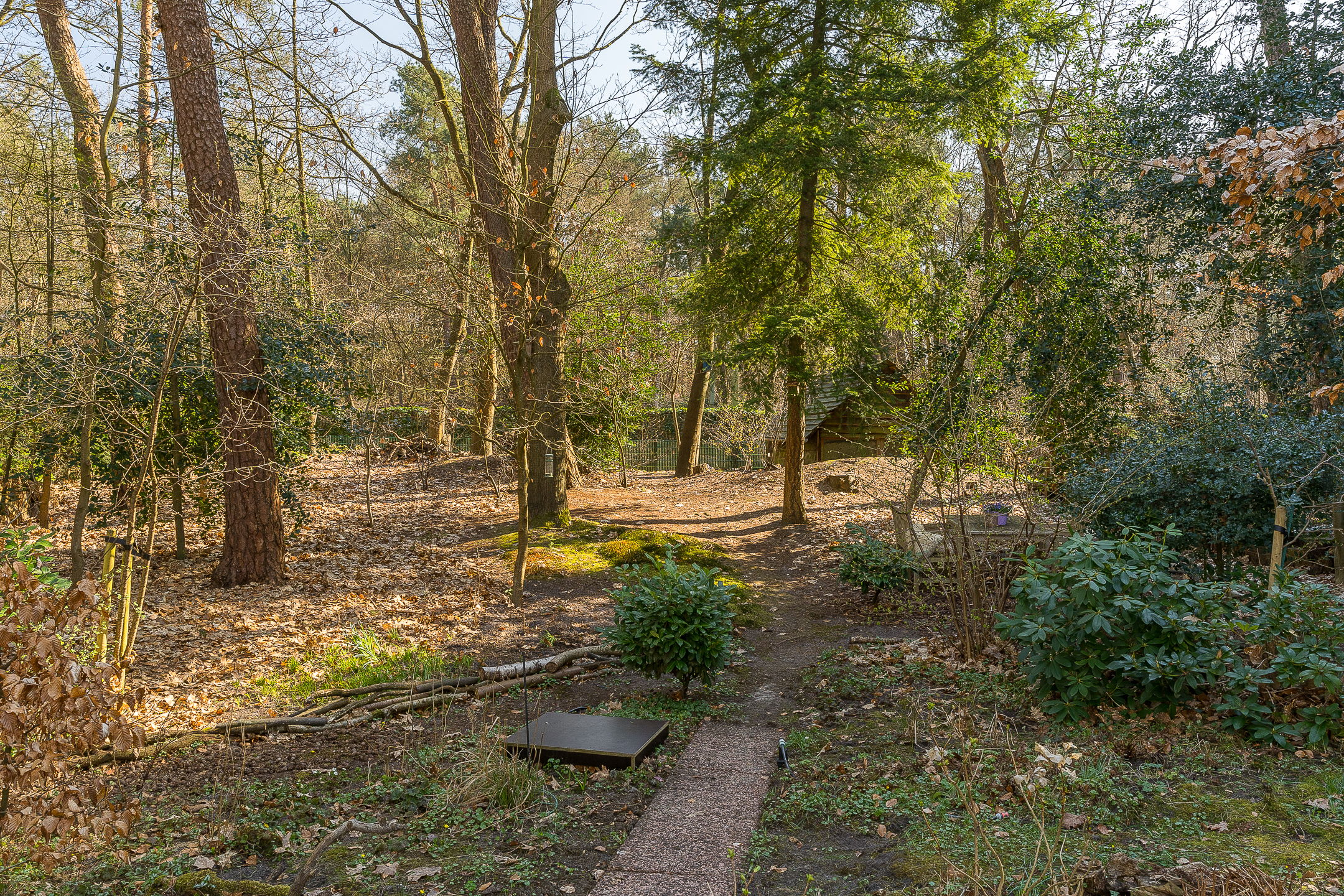 Foto 60 van Belvédèrelaan 10