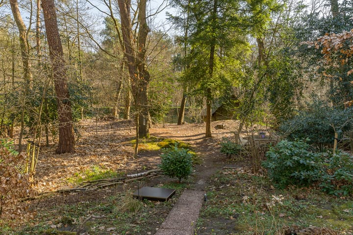 Foto 60 van Belvédèrelaan 10