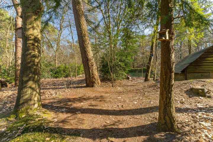 Foto 62 van Belvédèrelaan 10