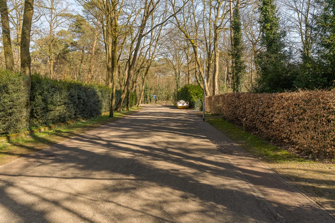 Foto 77 van Belvédèrelaan 10