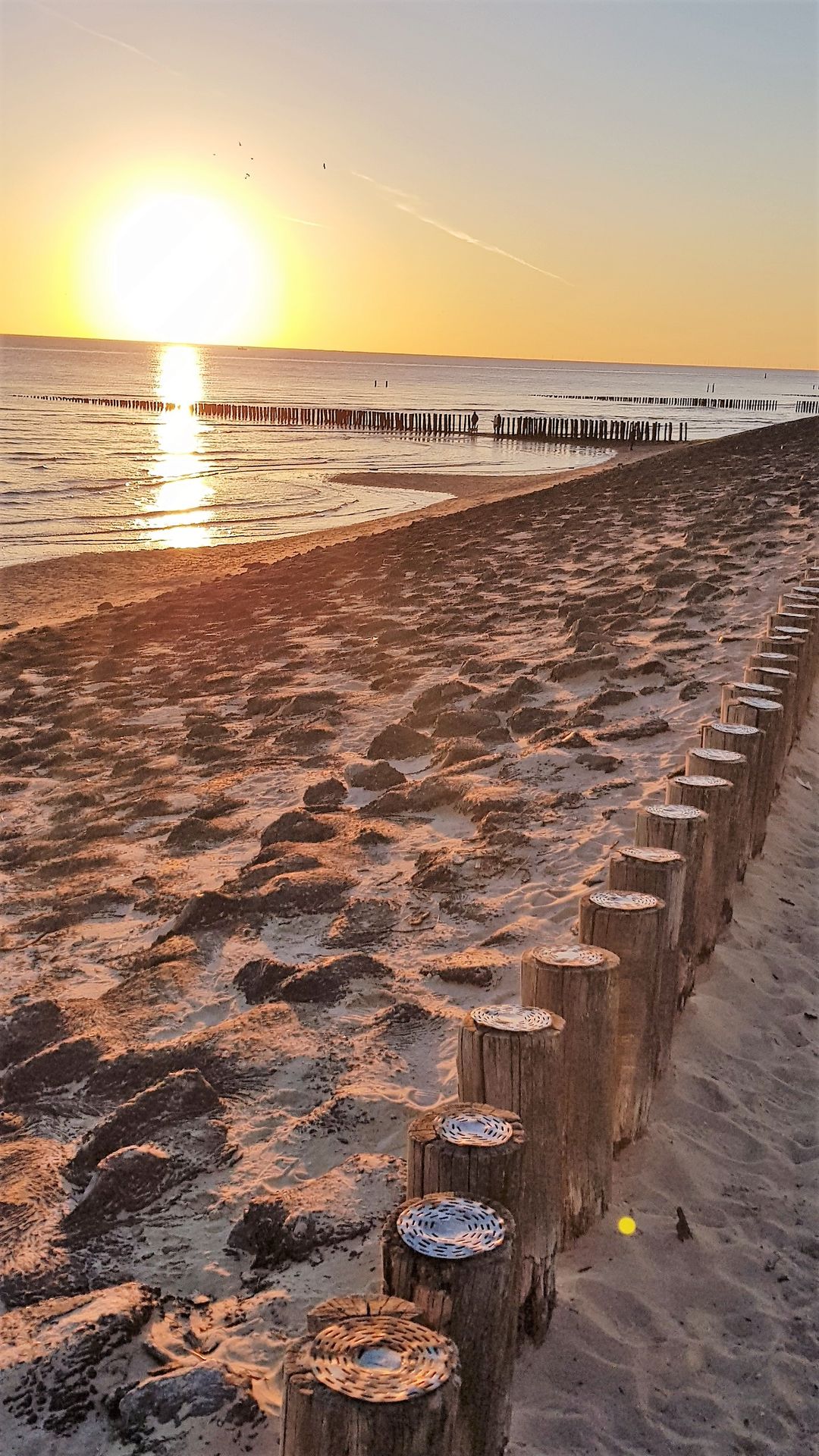 Foto 37 van Stroming 5