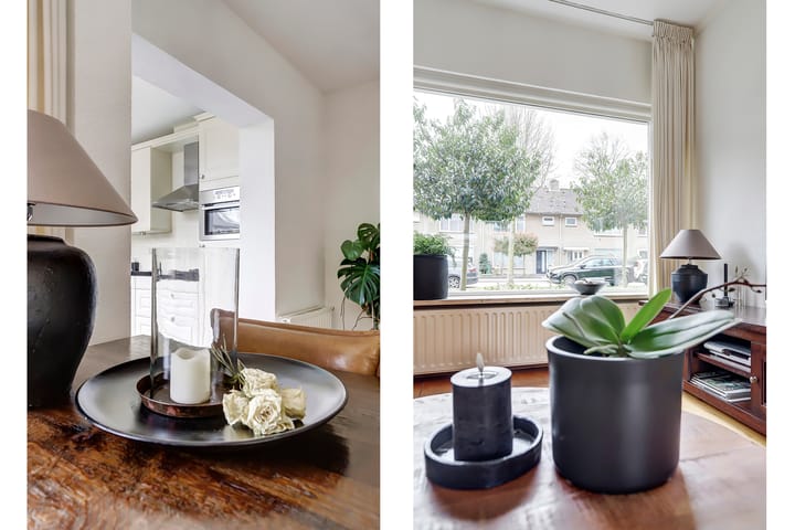 Foto 9 van Ursa Minor 19