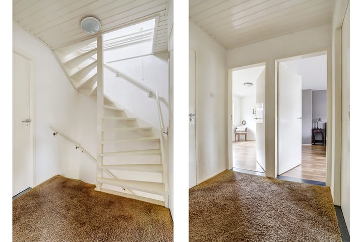 Foto 24 van Ursa Minor 19