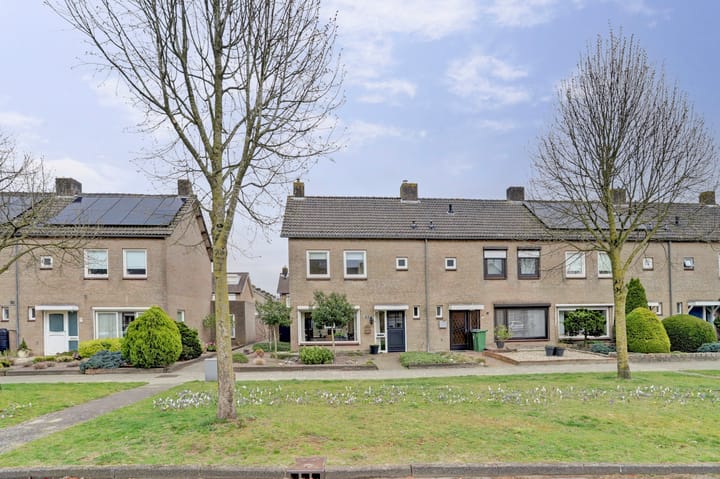 Foto 36 van Ursa Minor 19