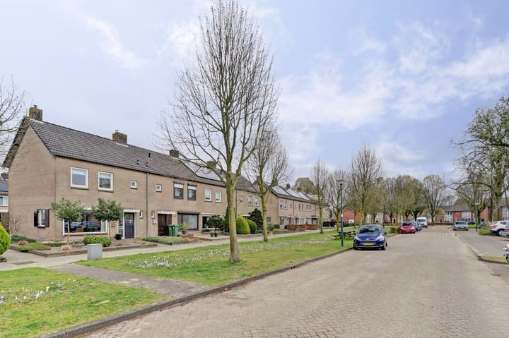 Foto 37 van Ursa Minor 19