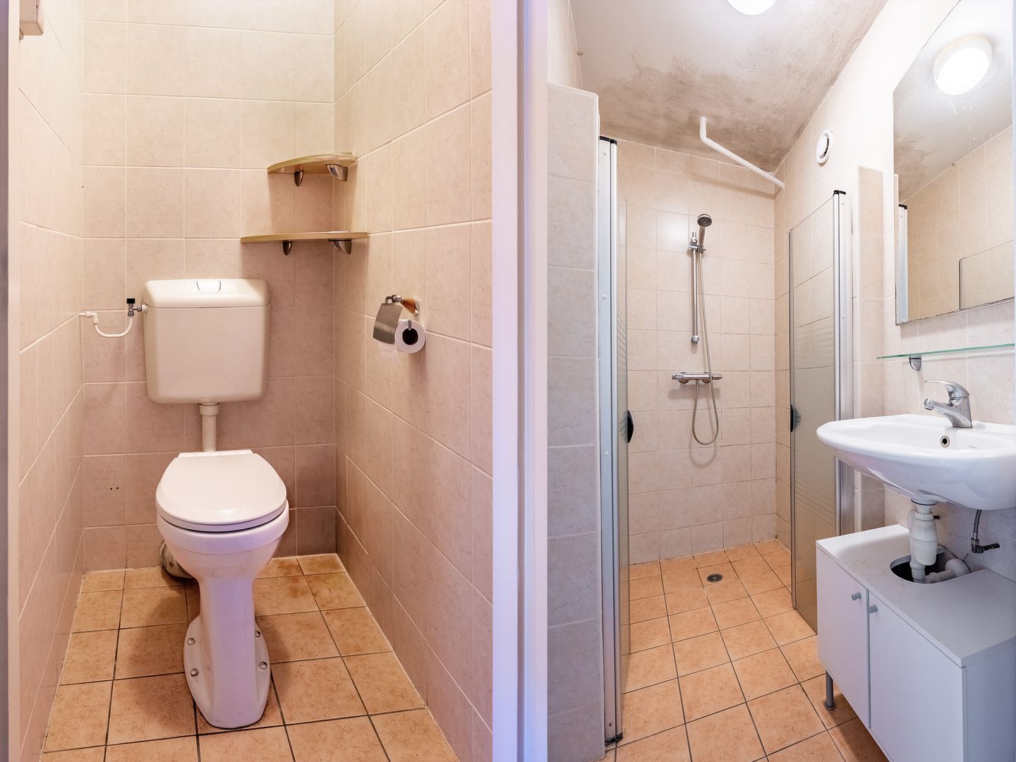 Foto 14 van Berkenlaan 169