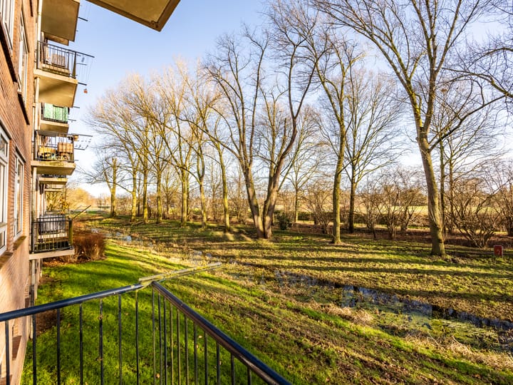 Foto 18 van Berkenlaan 169