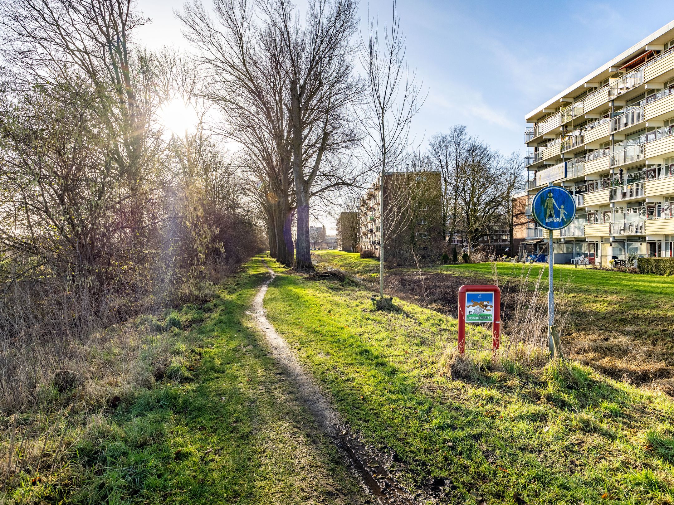 Foto 24 van Berkenlaan 169