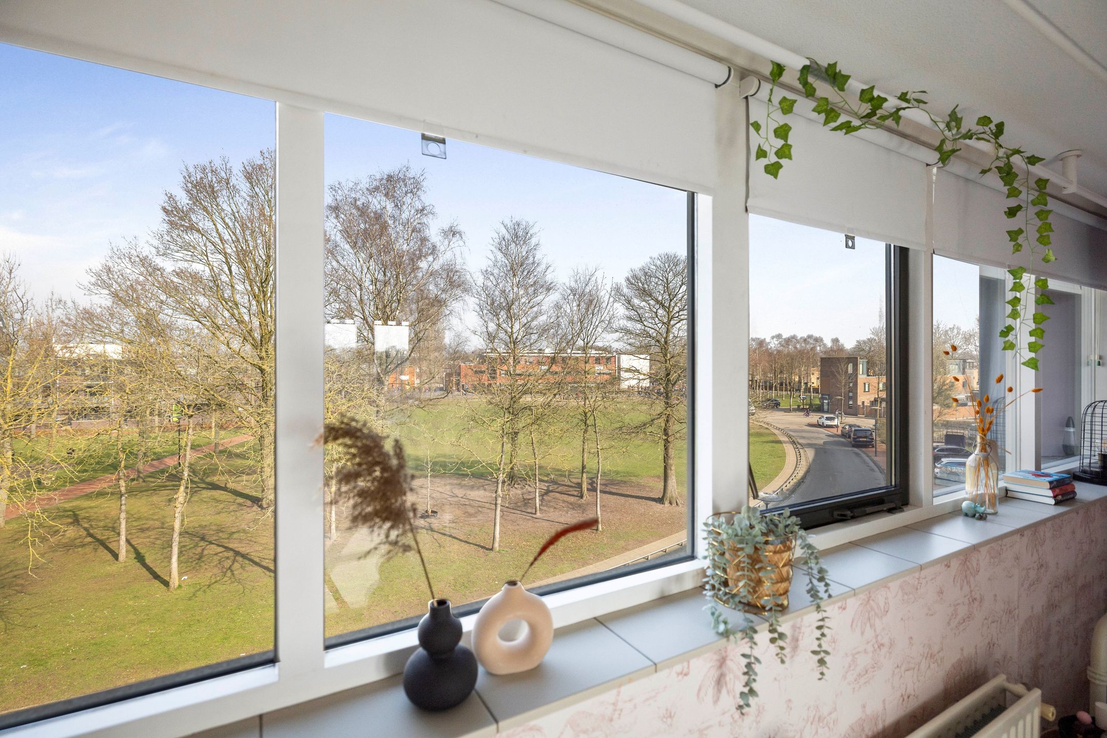 Foto 24 van Brandts Buyspark 88