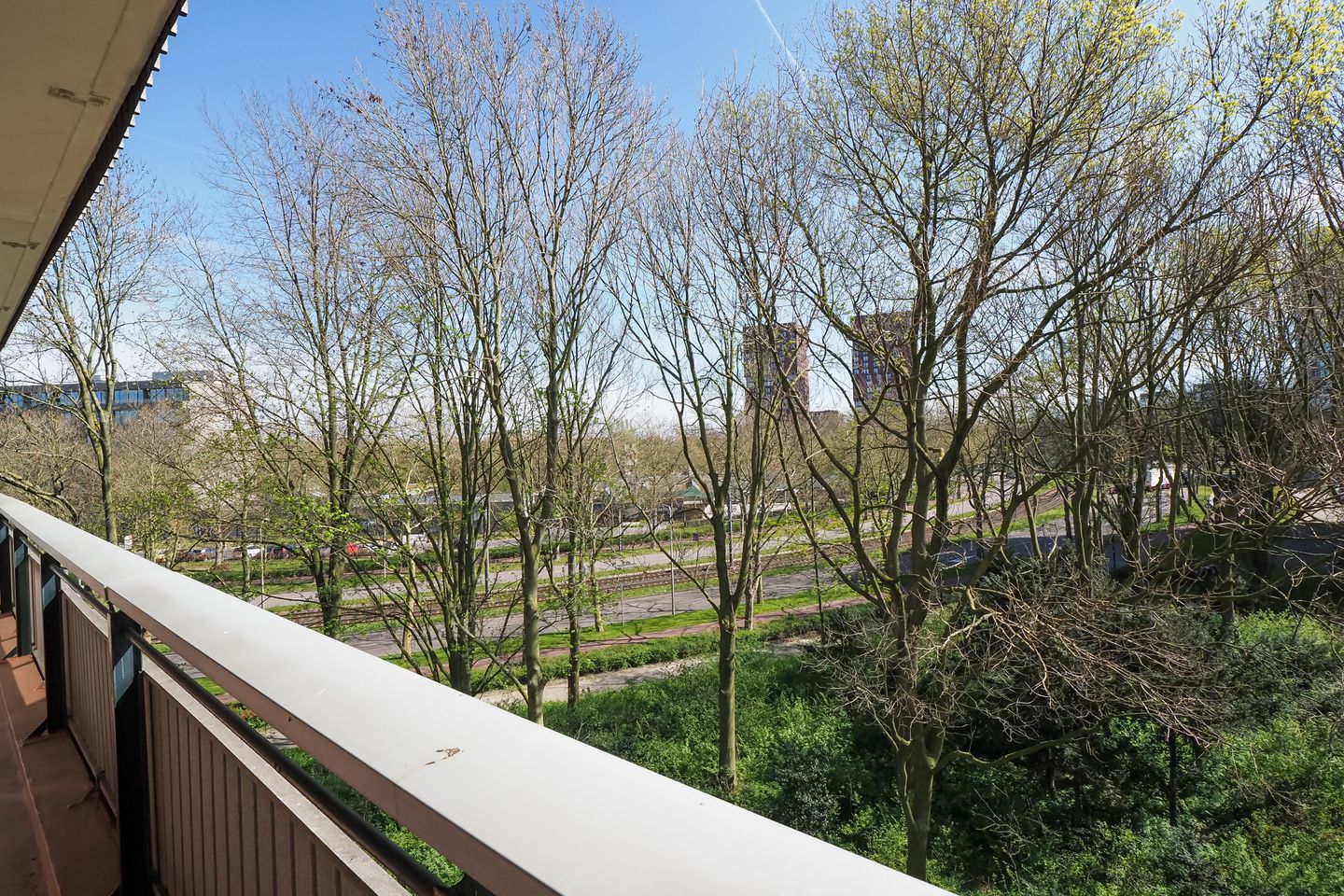 Foto 20 van Livingstonelaan 1054