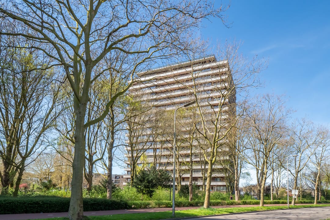 Foto 22 van Livingstonelaan 1054