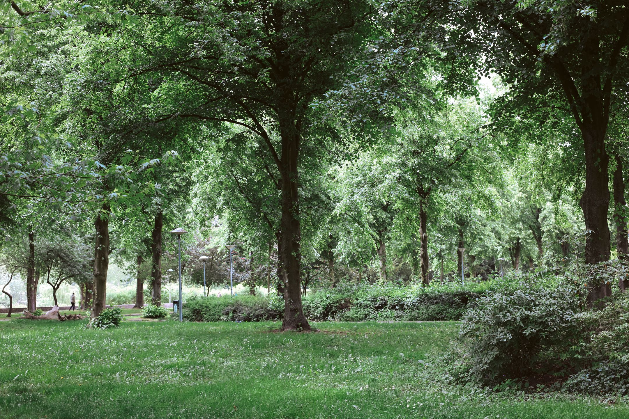 Foto 24 van Livingstonelaan 1054