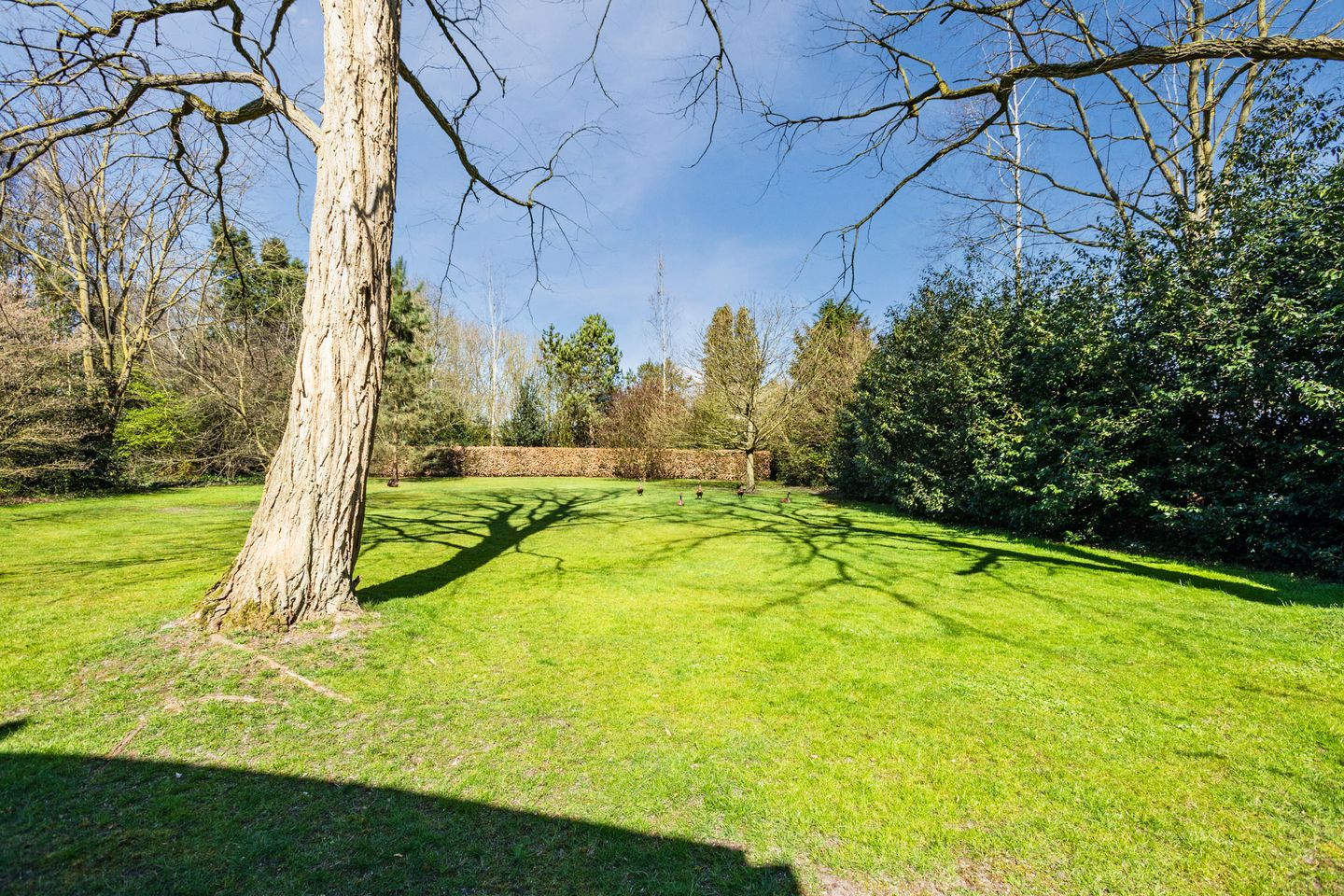 Foto 70 van Wapenvelder Kerkweg 11