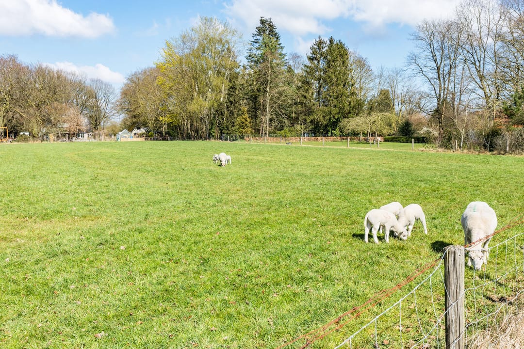 Foto 83 van Wapenvelder Kerkweg 11