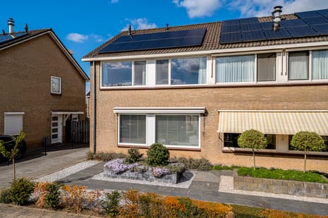 undefined main image