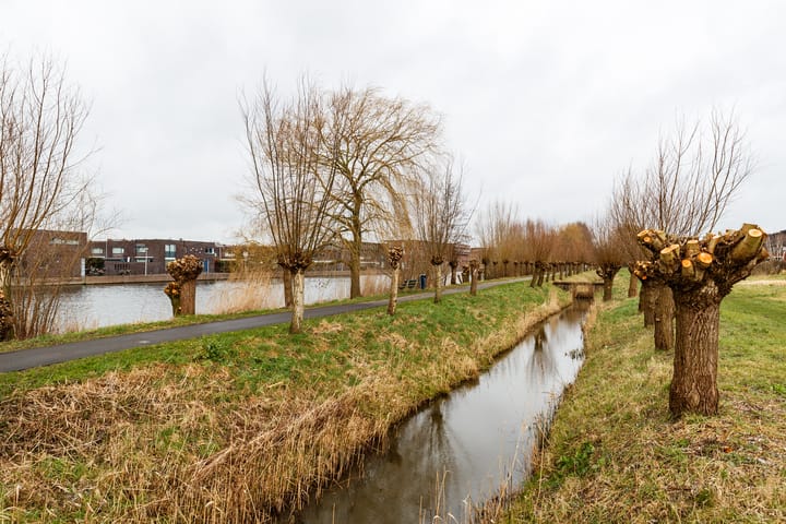 Foto 14 van Secundusweg 71