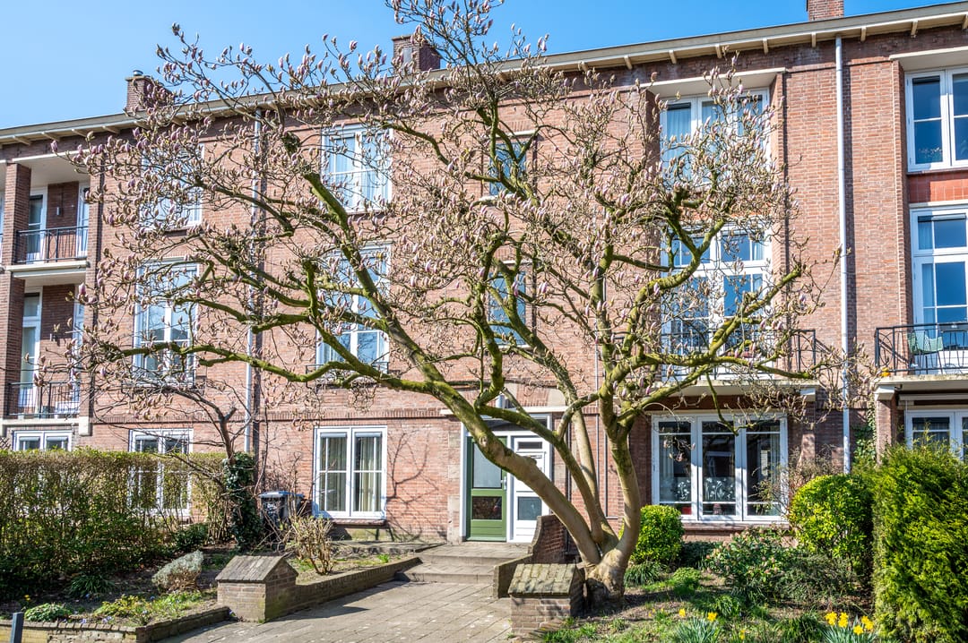 Foto 31 van Molukkenstraat 20