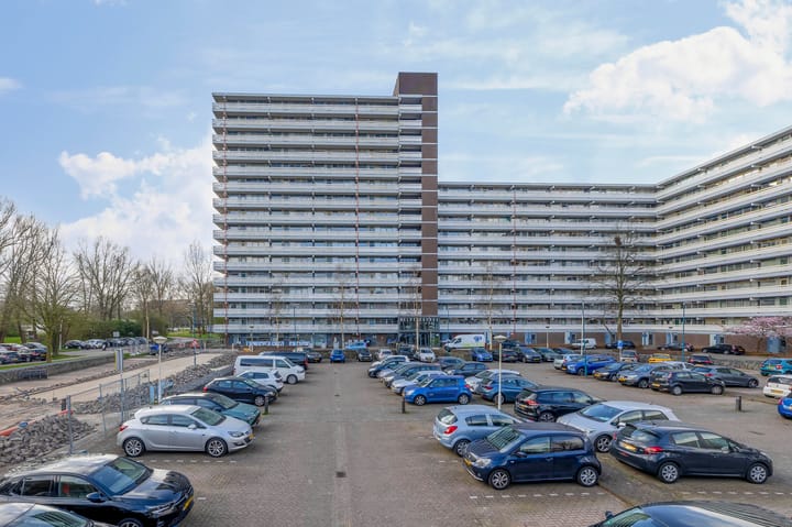 Foto 5 van Belvédèrebos 117