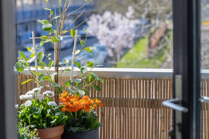 Foto 15 van Vignolastraat 56