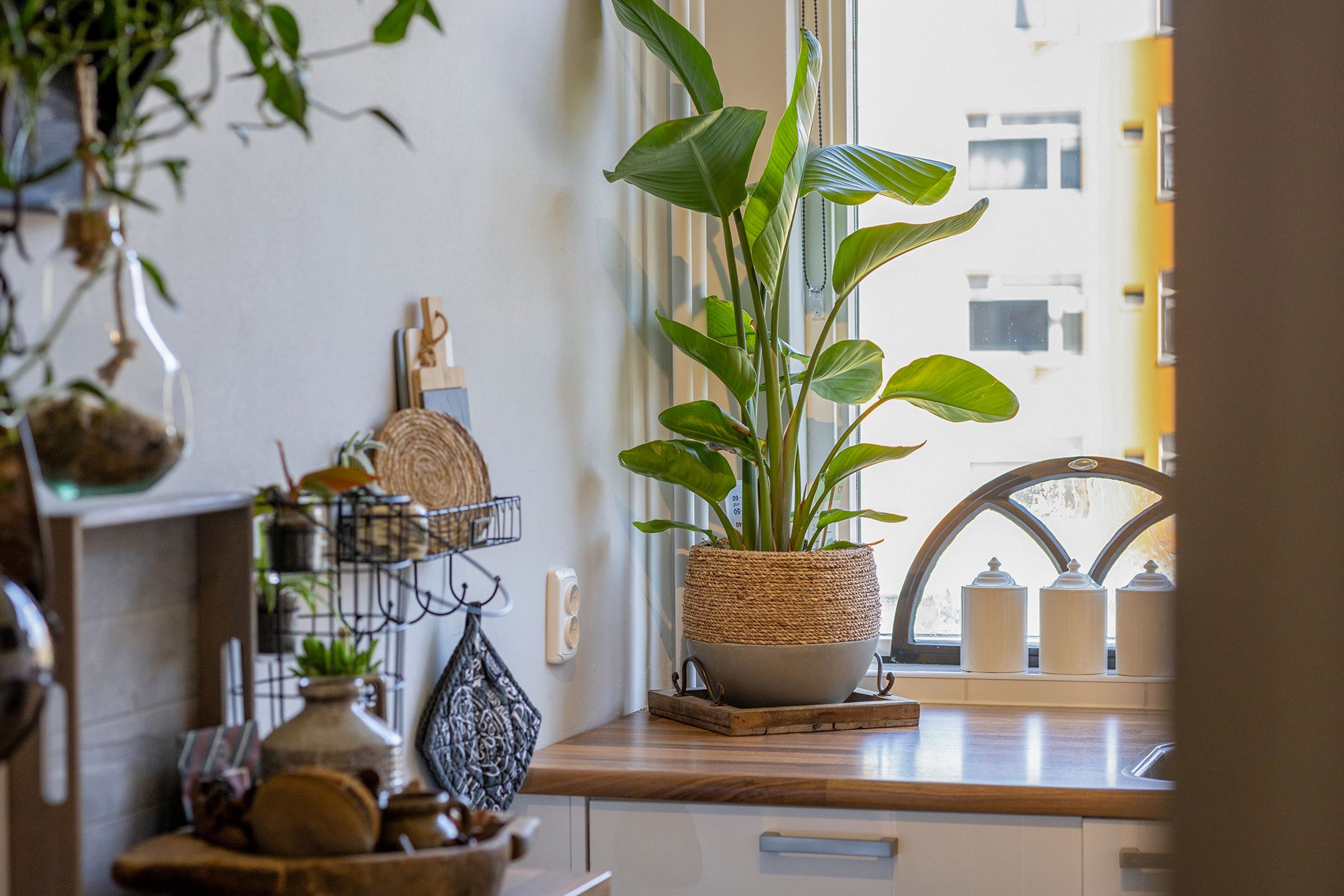 Foto 24 van Vignolastraat 56