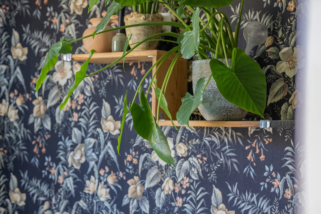 Foto 32 van Vignolastraat 56