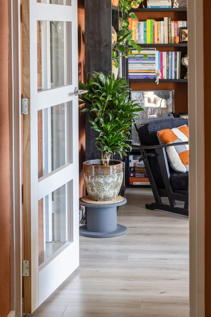 Foto 38 van Vignolastraat 56