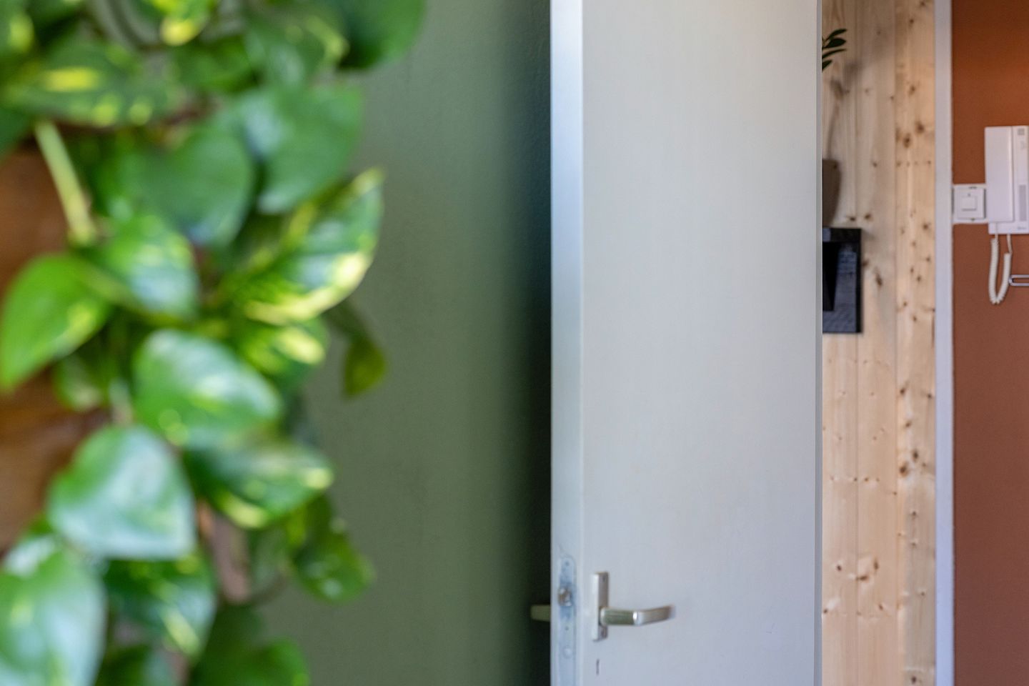 Foto 40 van Vignolastraat 56