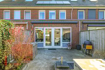 Koekoeksbloem thumbnail
