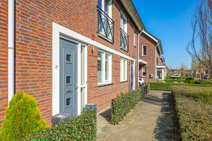 Photo 57 of Koekoeksbloem 26