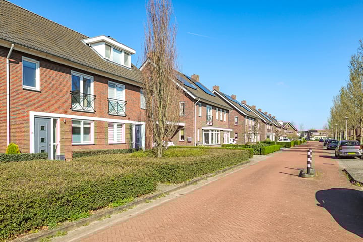 Photo 58 of Koekoeksbloem 26