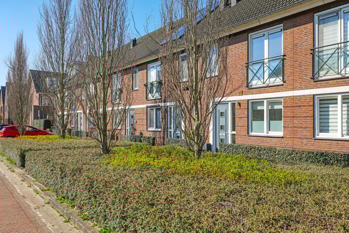 Photo 59 of Koekoeksbloem 26