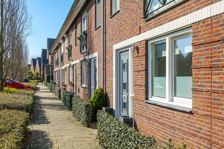 Photo 60 of Koekoeksbloem 26