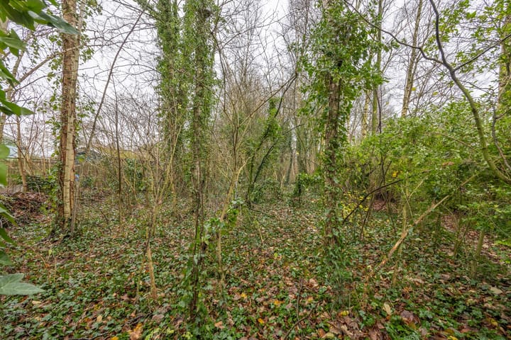 Foto 36 van Oranjestraat 34