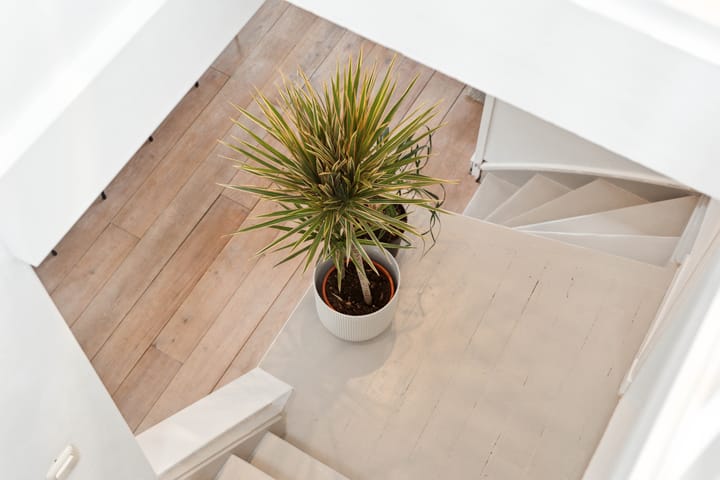 Foto 33 van Mecklenburgstraat 49